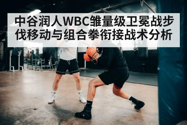 中谷润人WBC雏量级卫冕战步伐移动与组合拳衔接战术分析