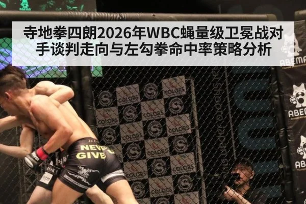 寺地拳四朗2026年WBC蝇量级卫冕战对手谈判走向与左勾拳命中率策略分析